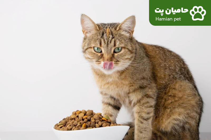 تصویر دسته بندی غذای خشک گربه